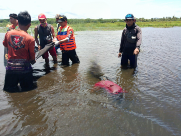 Foto dari RELAWAN TANAH LAUT