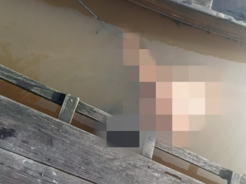 Foto diambil dari grup Relawan Pemadam Kebakaran dan Emergency