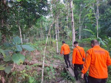 Balita di Loksado Dilaporkan Hilang, Tim SAR Gabungan Terus Lakukan Pencarian