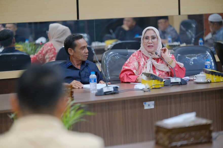 Status 5 Dokter Honorer Banjar Belum Jelas, DPRD Minta Kepastian Segera