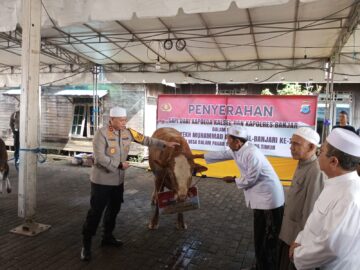 Jelang Haul Datu Kalampayan, Kapolda Kalsel Sumbang Sapi dan Siapkan 800 Personel
