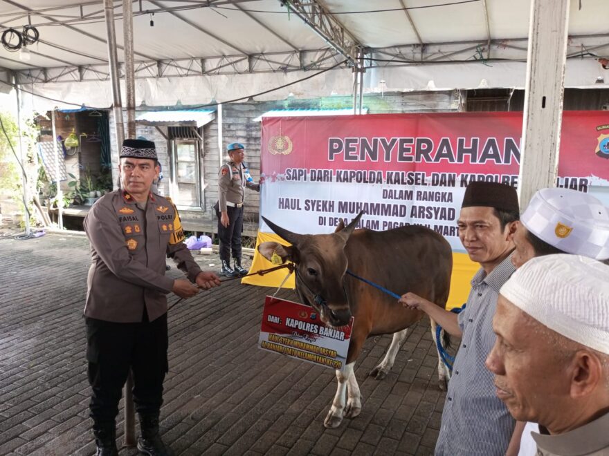 Kapolres Banjar Ambil Bagian, Bantuan Sapi Disalurkan untuk Haul Datu Kalampayan