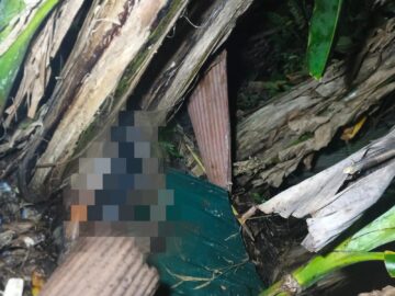 Geger! Perempuan Ditemukan Tewas di Bawah Pohon Pisang di Gambut