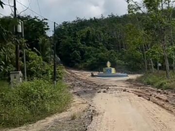 Jalan Rusak Menuju “Surga Durian” Bi’ih Viral, Potensi Besar Terkendala Infrastruktur