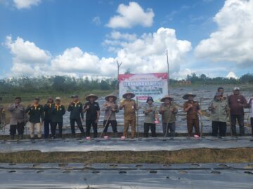 Polres Banjar Dukung Ketahanan Pangan, Tanam Jagung 2,5 Hektare di Mataraman