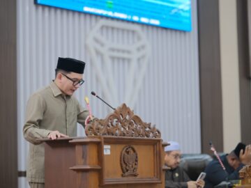 Angin Segar untuk PPPK, Ali Syahbana Apresiasi Langkah DPR RI dan Pemerintah Pusat