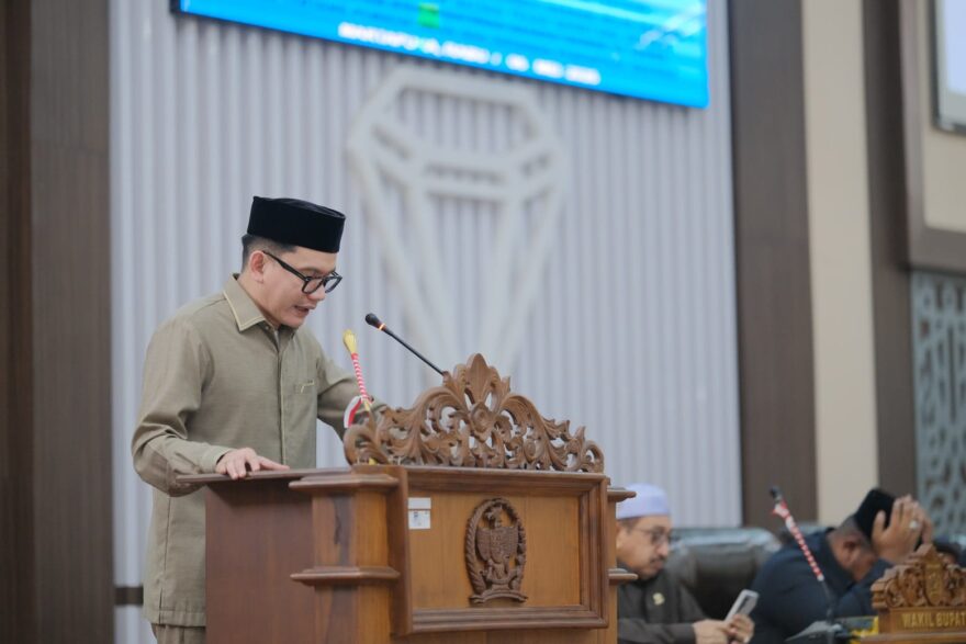 Angin Segar untuk PPPK, Ali Syahbana Apresiasi Langkah DPR RI dan Pemerintah Pusat