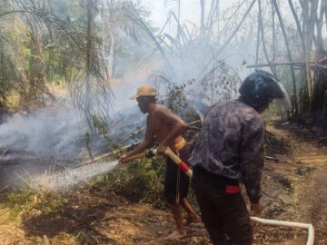 Kemarau Panjang, Lahan Perkebunan di Lok Cantung Terbakar, Warga Serta Pemdes Berjibaku Cegah Api Meluas