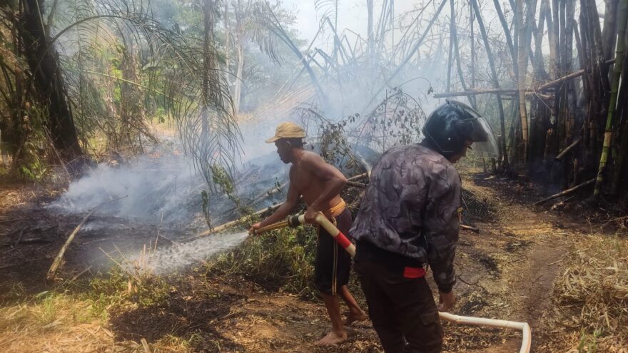 Kemarau Panjang, Lahan Perkebunan di Lok Cantung Terbakar, Warga Serta Pemdes Berjibaku Cegah Api Meluas